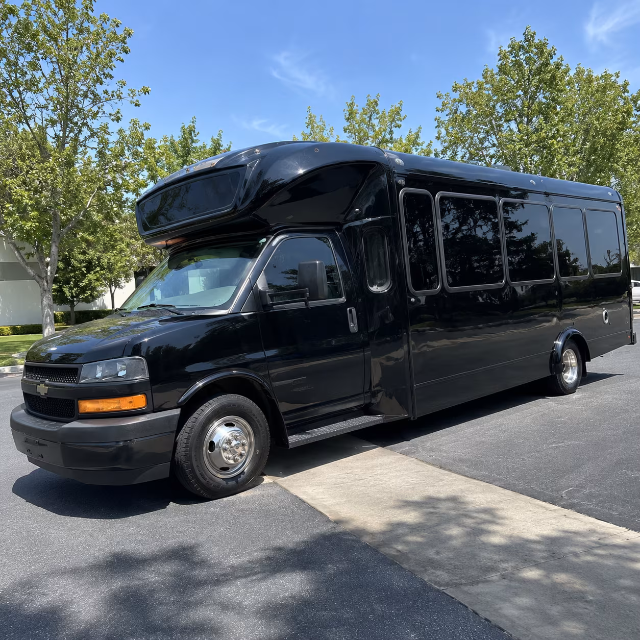 cedar hill 15 passenger party bus